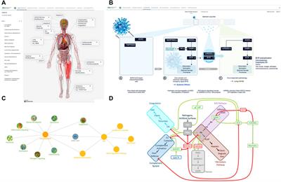 Frontiers | Whole patient knowledge modeling of COVID-19